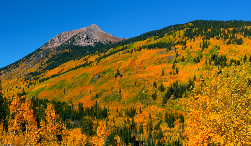 Awesome Colorado Fall Colors