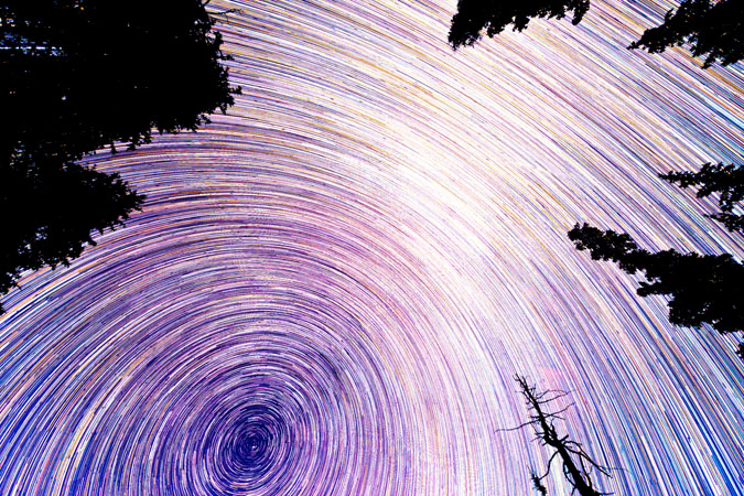 Star Trails Looking Up
