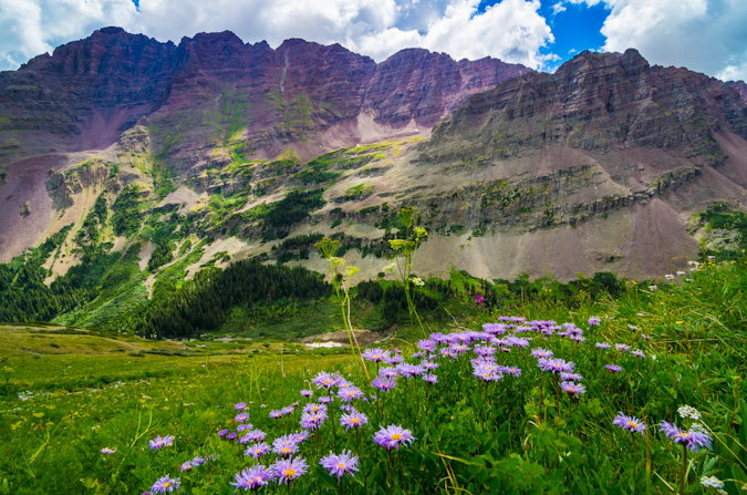 Pyramid Peak and wildflowers