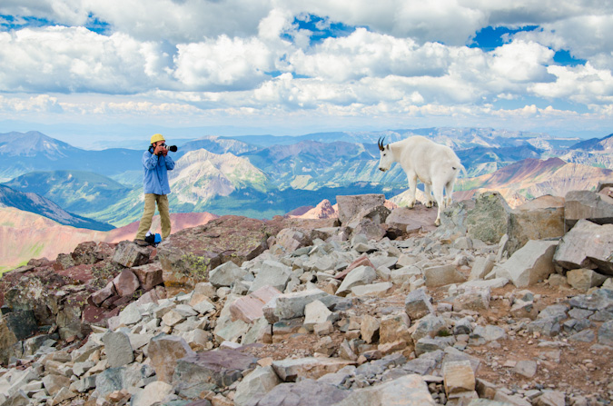 Glenn Randall photographing mountain goats