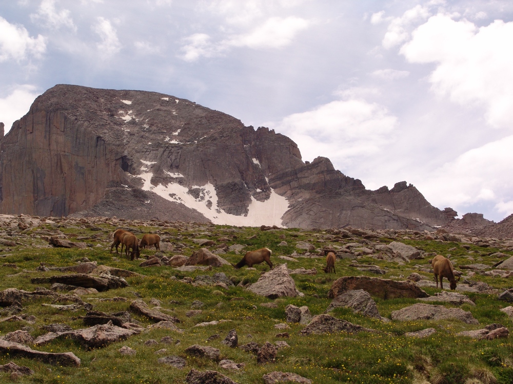 Longs Peak Is The Deadliest Mountain In Colorado